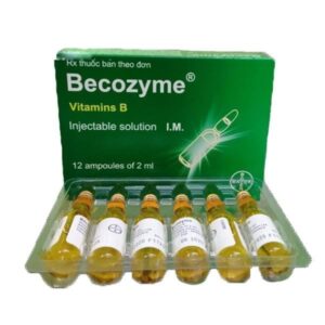 Dung dịch tiêm Becozyme Bayer-Pháp
