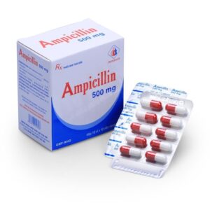 Viên nang Ampicillin 500mg Domesco-VN