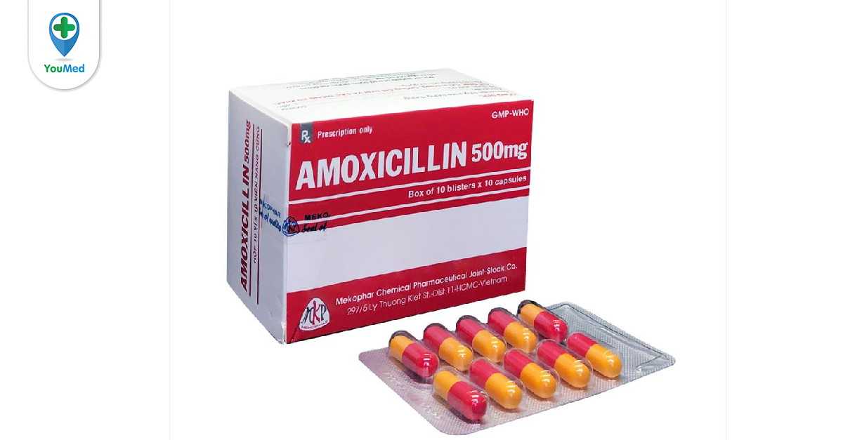 Viên nang Amoxicillin 500mg Mekophar-VN