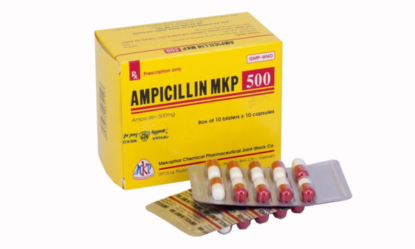 Viên nang Ampicillin MKP 500 Mekophar-VN