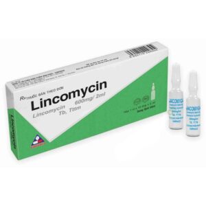 Dung dịch tiêm Lincomycin 600mg/2ml Vinphaco – Việt Nam
