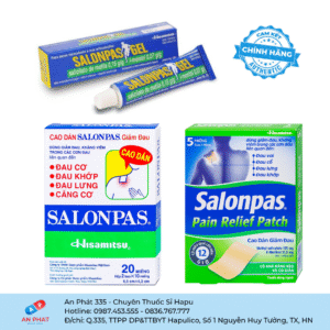 Gel bôi da/ Cao dán Salonpas Hisamitsu – Việt Nam