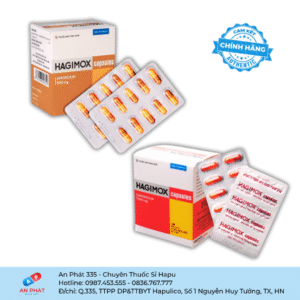 Viên nén / Viên nang Hagimox 250/500 DHG - Việt Nam