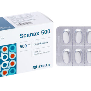 Viên nén Scanax 500 Stellapharm – Việt Nam